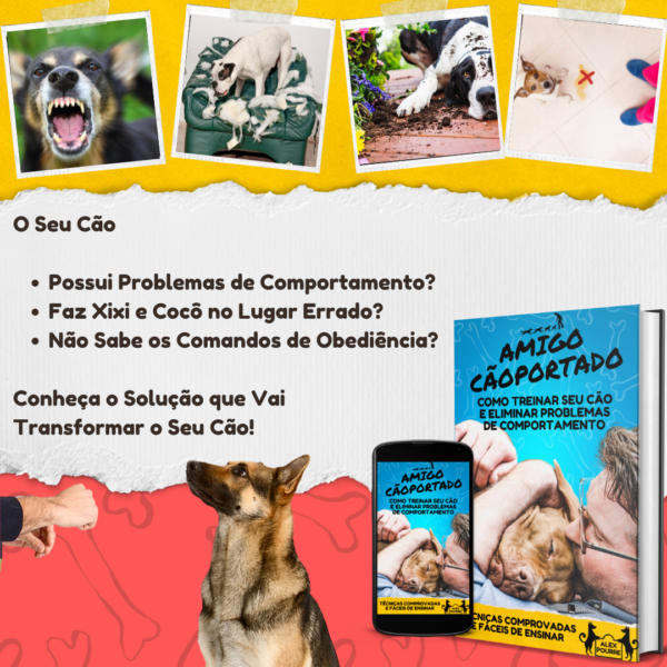 O Manual do Bom Comportamento Canino - Image 2