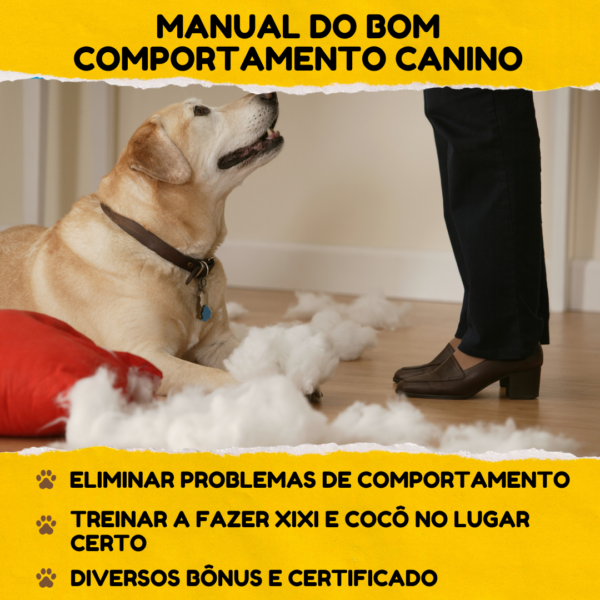 O Manual do Bom Comportamento Canino - Image 4