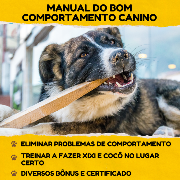 O Manual do Bom Comportamento Canino - Image 5