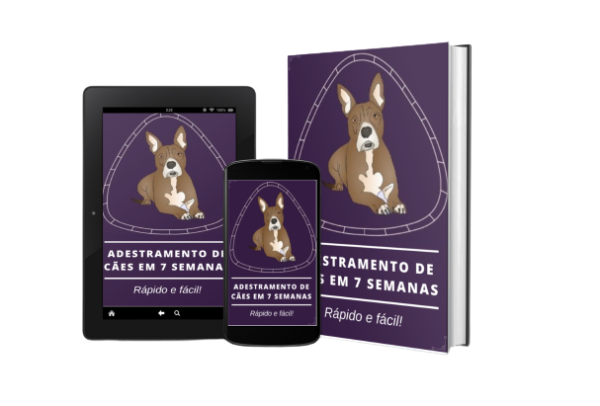 Adestramento de Cães em 7 Semanas