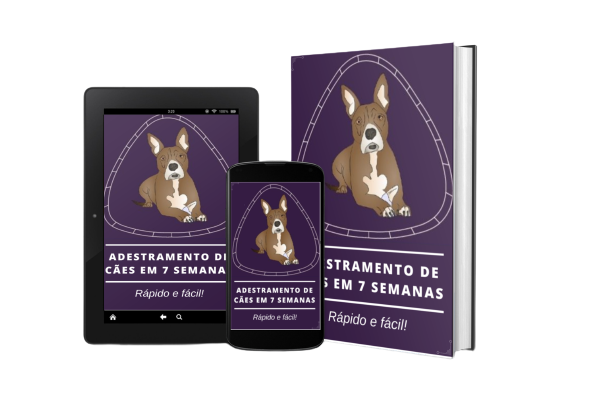 Adestramento de cães em 07