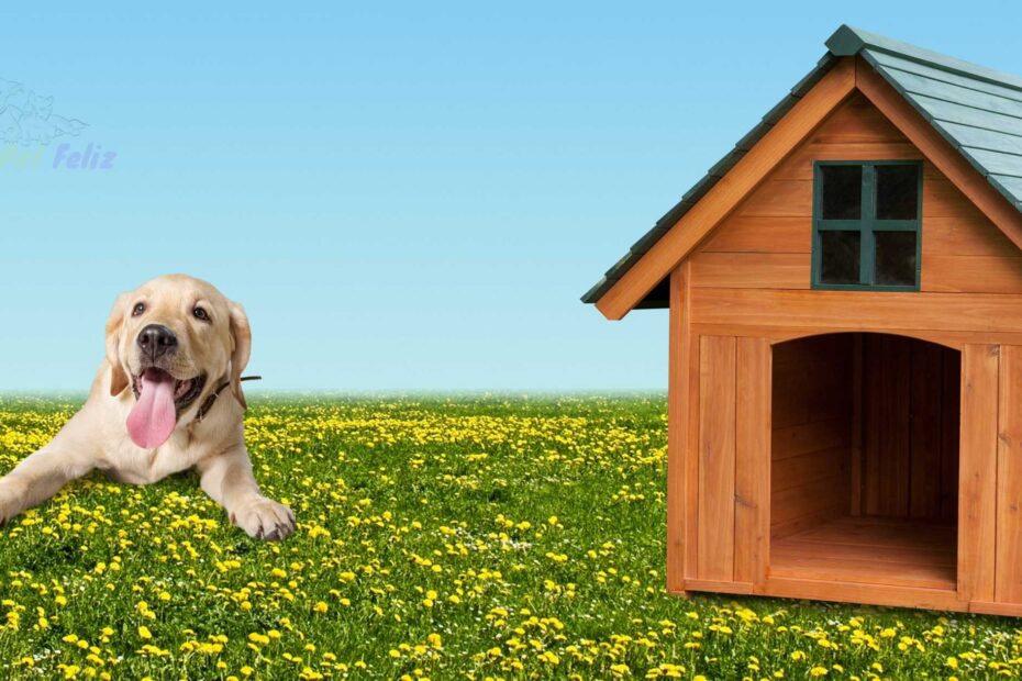 Construir uma casa para o seu cão